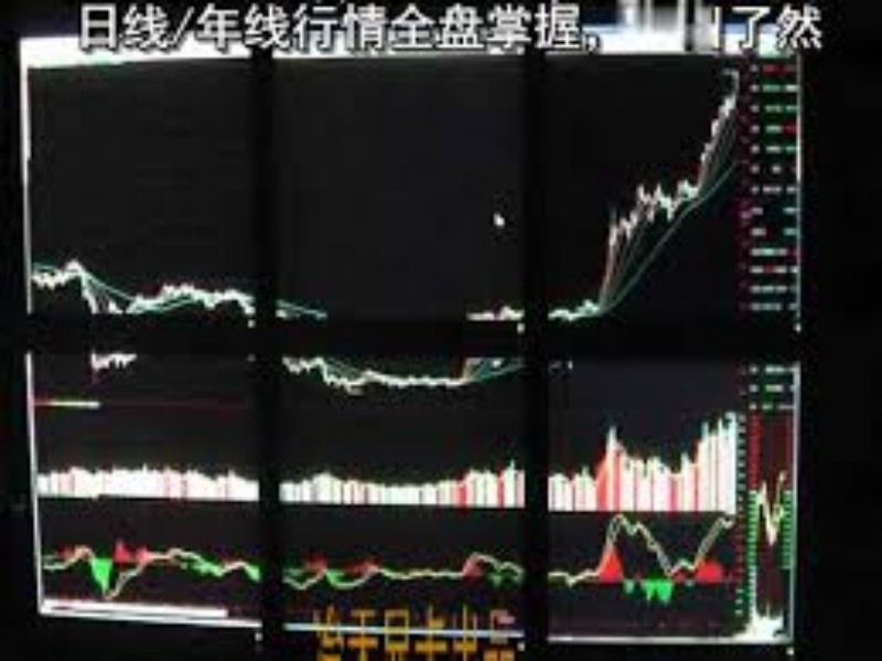 深度分析：高换手率股票在当前市场中的表现和机会
